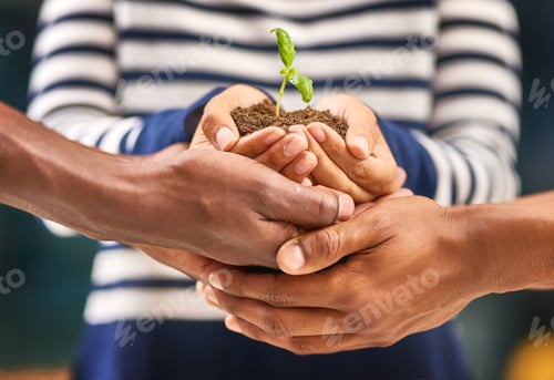 Preview: Start small, yield big results