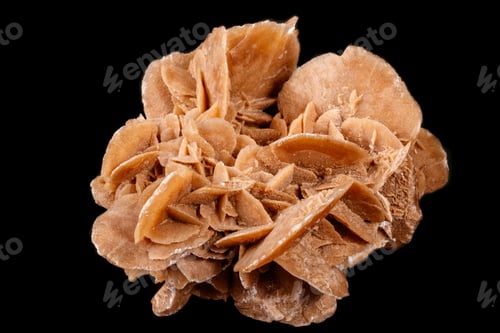Preview: Macro mineral stone desert rose or sand rose on a black background