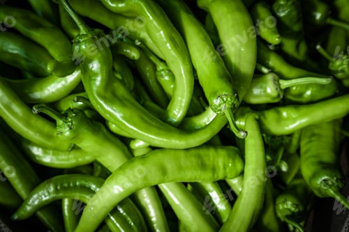 Preview: Raw Green Organic Serrano Peppers. green chili peppers