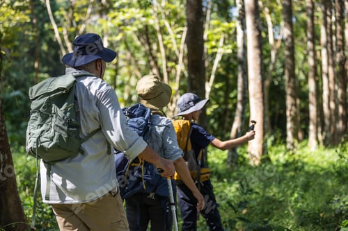 Preview: Group of Hikers Exploring the Forest Together