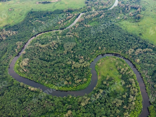 Preview: Aerial view over the river which is on the green forest.