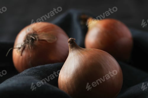 Preview: Onion