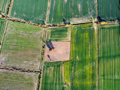 Preview: Aerial view of a spring field