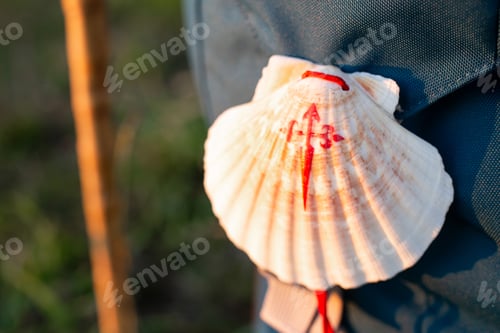 Preview: Scallop shell with red cross of Santiago de Compostela hanging on pilgrim backpack