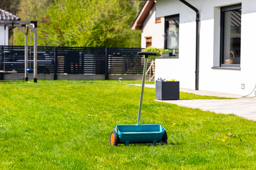 Preview: Fertilizing a young lawn with grass fertilizer in granules using a manual grass seeder.