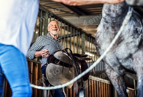 Preview: A senior couple putting a saddle on a horse in a stable.