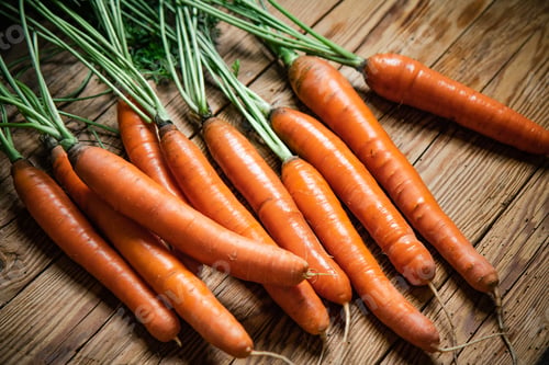 Preview: Fresh carrots on wooden table.