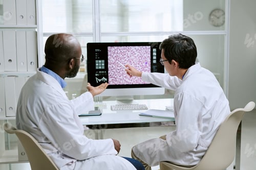 Preview: Caucasian Man and Black Man Analyzing Medical Images in Laboratory