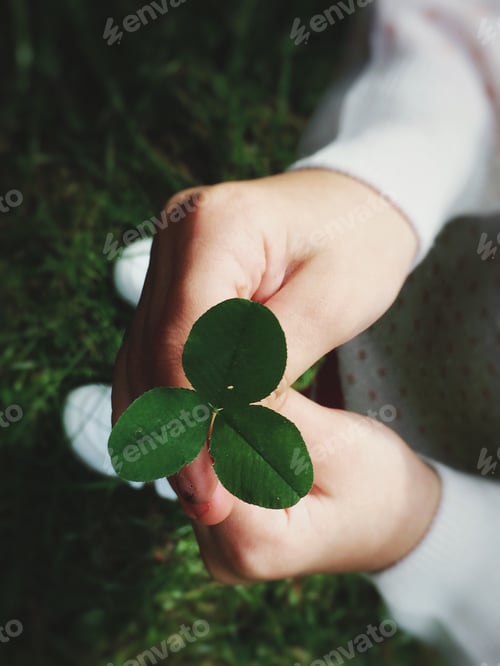 Preview: Eco friendly