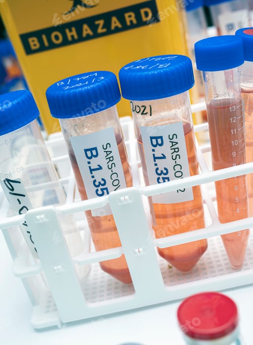 Preview: Laboratory research new strain of South Africa sars-cov-2