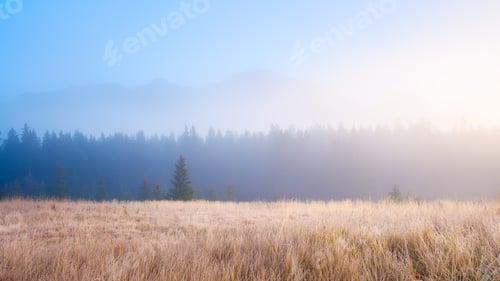 Preview: Foggy landscape in the morning.