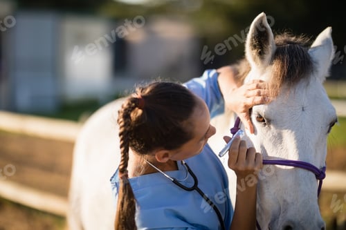 Preview: Close up of female vet examining horse eye