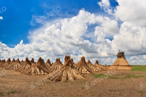 Preview: Haystacks Landscape Under Cloudy Blue Sky