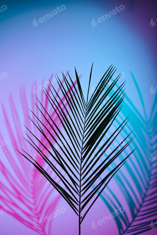 Preview: Tropical leaves in neon light with duotone shadows