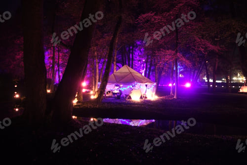 Preview: Neon light night show in a park on a city lake in Belgium, trees illuminated