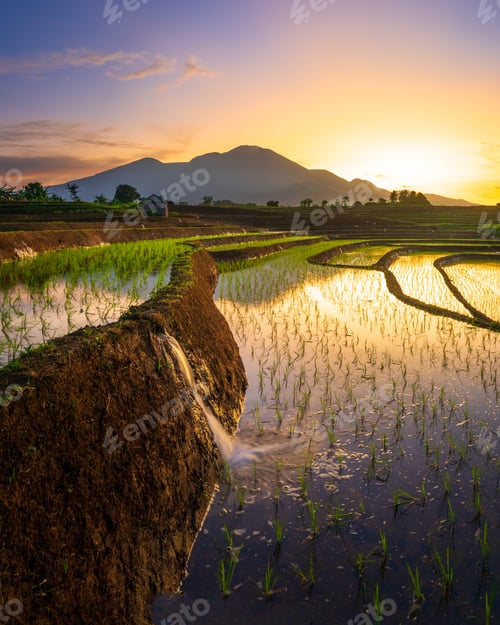 Preview: beautiful morning view from Indonesia of mountains and tropical forest