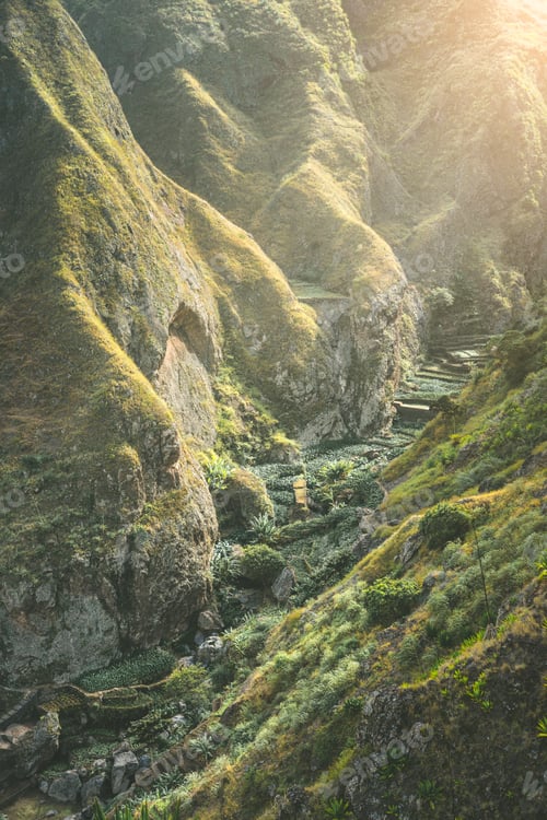 Preview: Incredible view of the lush green ravine covered with lotus and banana plants in warm sunrays light