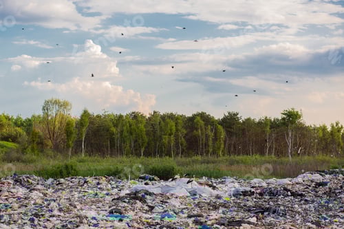 Preview: Large garbage dump against the backdrop of the forest, the landfill pollutes the environment