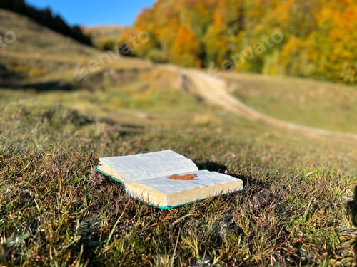 Preview: Focus of open book placed on the grass and trees seen in the background on a sunny autumn day