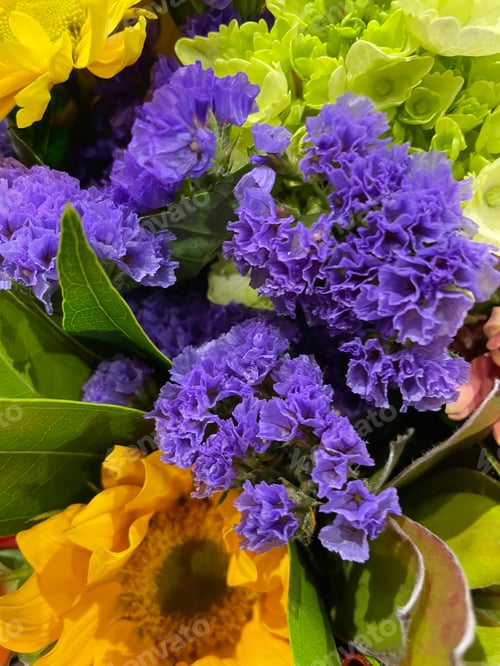 Preview: Flowers