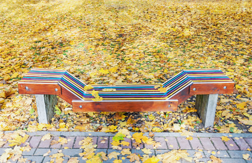 Preview: Lonely colorful wooden bench in park in autumn