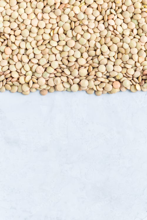 Visualização: Lentilhas verdes secas não cozidas, vertical, espaço de cópia, vista superior