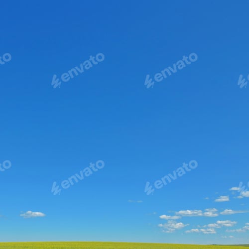 Preview: Mainly blue sky and a yellow field