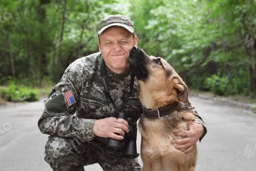 Preview: Man in military uniform with German shepherd dog, outdoors