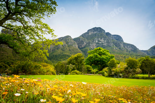 Vista previa: Table Mountain Cape Town, South Africa