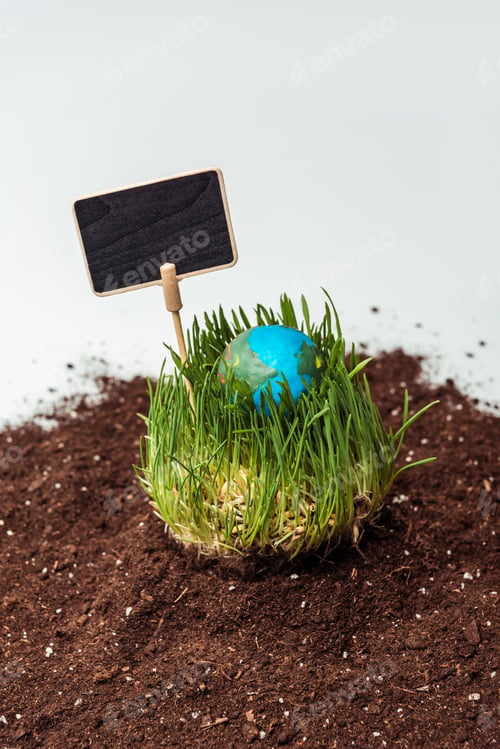 Preview: seedling with earth model and blackboard on soil isolated on white, earth day concept