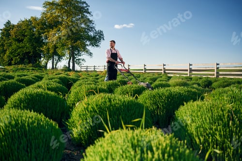 Preview: Fuel powered lawn mower. Adult farmer is outdoors