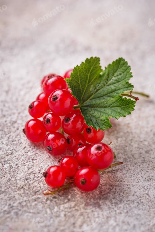 Preview: Ripe red currant berries and leaves