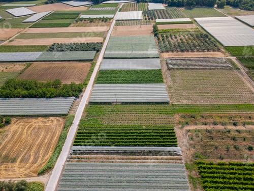 Preview: Aerial drone view of cultivated farmland with vineyards, orchards, and protective greenhouse nets. N