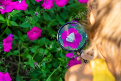 Preview: The child examines the plants with a magnifying glass. Selective focus.
