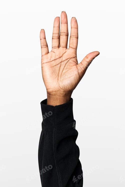 Preview: Hand showing palm gesture with black long sleeve