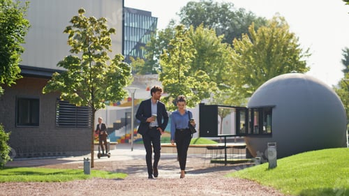 Preview: Smiling managers strolling downtown in sunny morning. Business couple talking