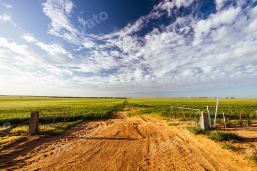 Preview: Wheat Fields in Victoria Australia