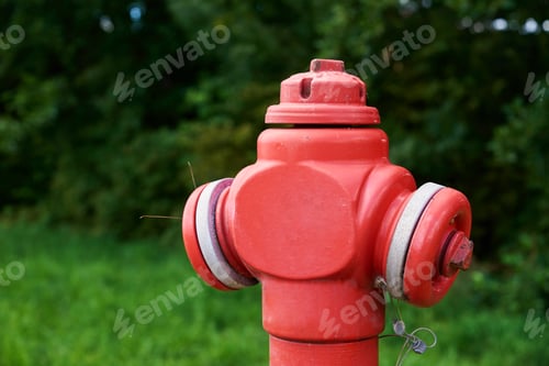Preview: Red fire hydrant in city park, close up