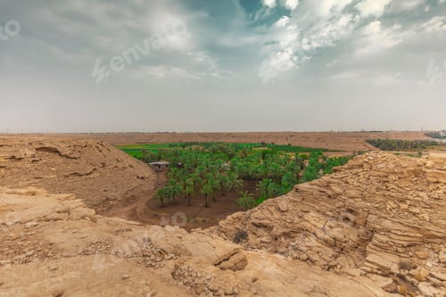 Preview: Date palm farm in Saudi Arabia