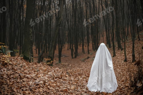 Preview: Happy Halloween! Spooky ghost standing in moody dark autumn forest