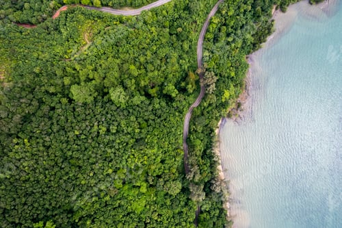 Preview: Top view of countryside road passing through the green forrest and mountain