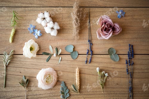 Preview: Still life of pastel coloured flower heads, flower stems and leaves on wood, overhead view