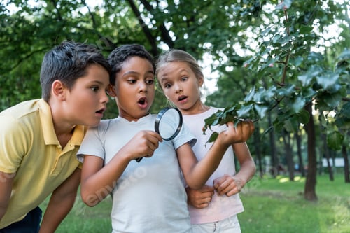 Preview: shocked multicultural kids looking at green leaves though magnifier