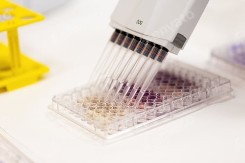 Preview: Multichannel pipette applying colorful liquid into test tubes inside laboratory