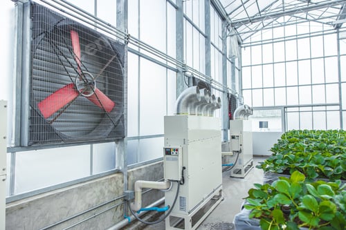 Preview: indoor greenhouse agriculture farm air ventilator flow pipe tube temperature humidity control system