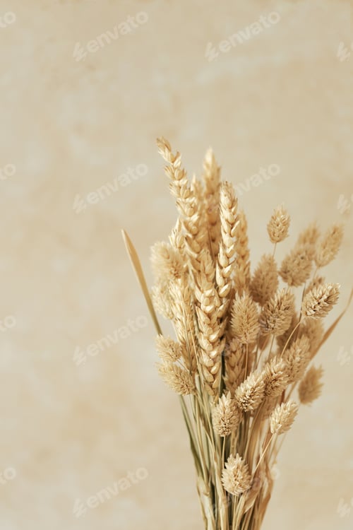 Preview: Bouquet of beautiful beige dried flowers on beige background.