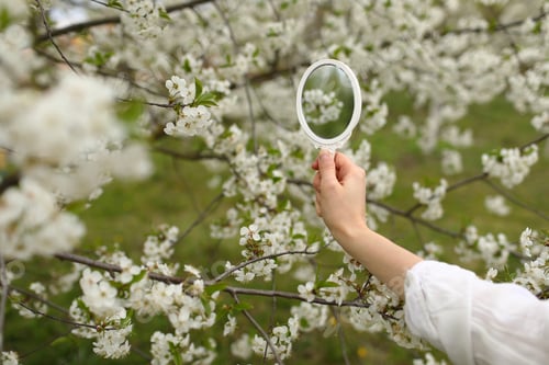 Preview: Outdoor close up of young female hand holding small retro mirror in blooming garden on spring day.