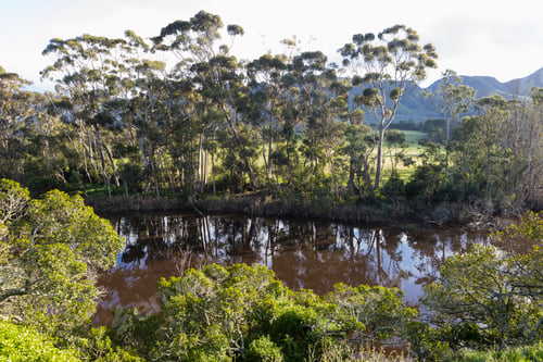 Preview: Klein River,Stanford,South Africa