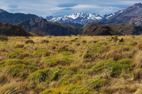 Preview: South Chile