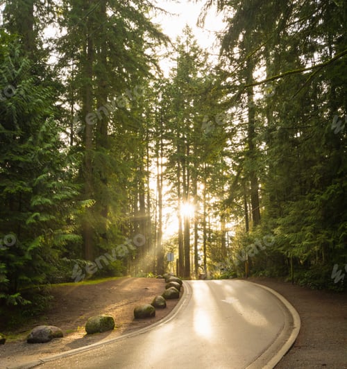 Preview: Road through Lynn Canyon Park, North Vancouver, British Columbia, Canada